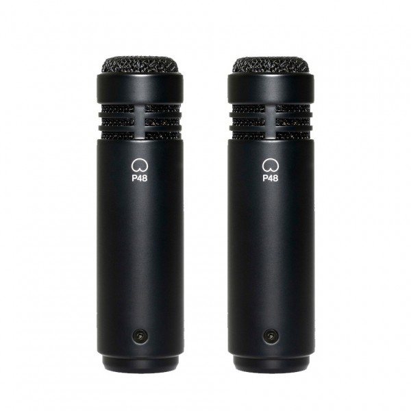 Lewitt LCT 040MP Matched Pair - Rear View