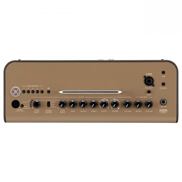 Yamaha THR30IIA Wireless Acoustic Amp Top