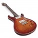 PRS DGT David Grissom, Dark Cherry Sunburst #0303267