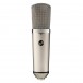 Warm Audio WA-67 Tube Microphone