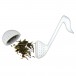 Agifty Tea Strainer - Open