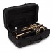 Coppergate D/Eb Trumpet by Gear4music