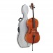 Eastman Young Master Cello Outfit, Jargar String Setup