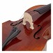 Stentor Arcadia Double Bass with Case Cover, 3/4, Back