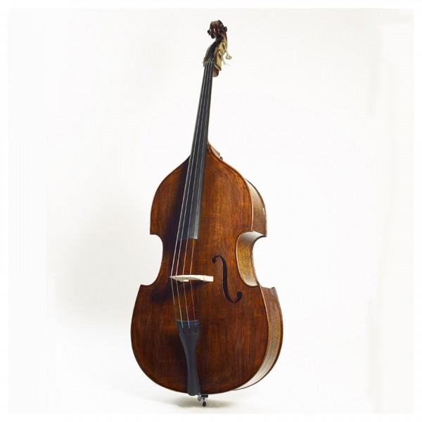 Stentor Elysia Double Bass with Case Cover, 3/4