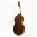 Stentor Elysia Double Bass with Case Cover, 1/2
