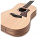 Taylor Big Baby Acoustic, Natural