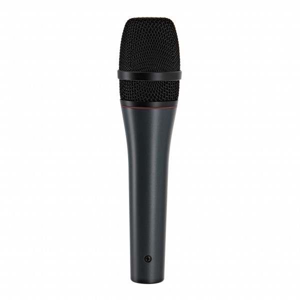 Sennheiser e865-S Condenser Microphone with Switch