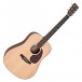 Martin D-10E Road Series Electro Acoustic