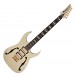 Ibanez Paul Gilbert PGM333 30th Anniversary