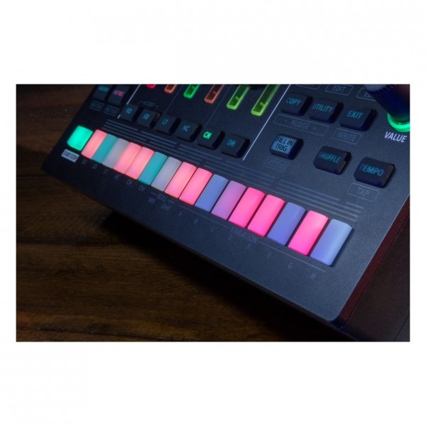 Roland TR-6S Rhythm Composer - Switches