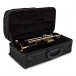 Conn Selmer TR520 Bb Trumpet, Gold Brass Bell