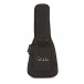 PRS S2 Custom 22 Ltd Edition, Custom Colour #S2045865