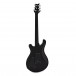 PRS S2 Custom 22 Ltd Edition, Custom Colour #S2046280