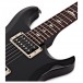 PRS S2 Custom 22 Ltd Edition, Custom Colour #S2046280