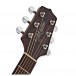 Takamine GD10CE Electro Acoustic, Natural