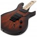 PRS Dustie Waring CE24, Black Gold Smokeburst #0304830