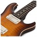 PRS DGT David Grissom, McCarty Tobacco Sunburst #0306587