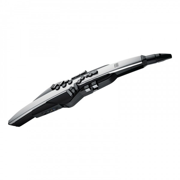 Roland AE-30 Aerophone Digital Wind Instrument, Controls