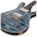 PRS DGT David Grissom, Faded Whale Blue Moons #0300738