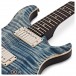 PRS DGT David Grissom, Faded Whale Blue Moons #0300738