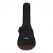 Cort Core-OC Electro Acoustic, Spruce
