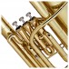 Student Eb Tuba by Gear4music