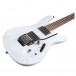 Ibanez PWM20 Paul Waggoner, White Ash Open Pore Low