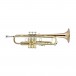 Bach Stradivarius Trumpet, LR190-43B, Lacquer