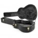 Epiphone Acoustic case