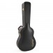Epiphone Acoustic