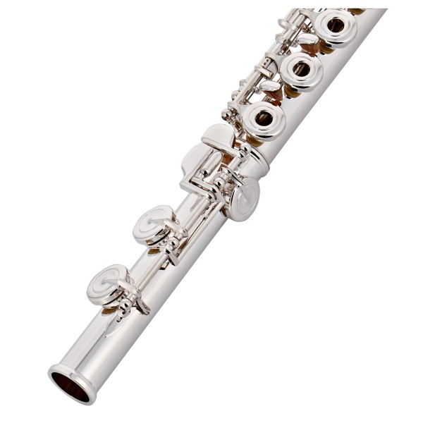Trevor James Chanson Flute, Trad Lip Plate, Open Hole