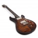 PRS DGT David Grissom, Black Gold Burst #0309542