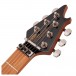 EVH Wolfgang Standard Exotic, Koa