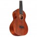 Martin Concert Ukulele, FSC Certified Wood Mahogany body