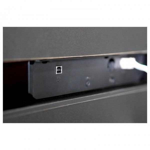Korg LP-380U Digital Piano, Black, I/O