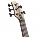 Cort A5 Ultra Ash, Etched Natural Black headstock