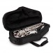 Trevor James Classic II Alto Saxophone, Silver