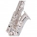 Trevor James Classic II Alto Saxophone, Silver