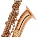 Conn-Selmer DBS180 Baritone Saxophone, Gold Brass Bell