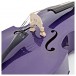 Stentor Rockabilly Double Bass, Purple, 3/4