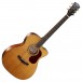 Cort Gold-OC6 Electro Acoustic, Natural Glossy - Front View