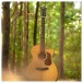 Cort Gold-OC6 Electro Acoustic, Natural Glossy - Glam Shot