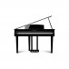 Kawai DG30 Digital Piano, Polished Ebony