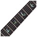 PRS 35th Anniversary Custom 24, Artist Package Blue Fade #0286545