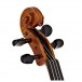 Hidersine Nobile Violin Outfit, Stradivari Design