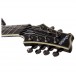 Schecter C-7 Blackjack, Black headstock