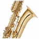 Rosedale Bass Saxophone, Gold