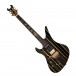 Schecter Synester Gates Custom S Left Handed, Black/Gold