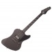 Schecter Paul Wiley Noir Black